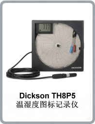 TH8P5型温湿度图表记录仪